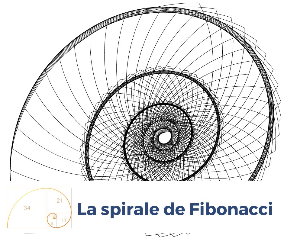 la spirale de Fibonacci