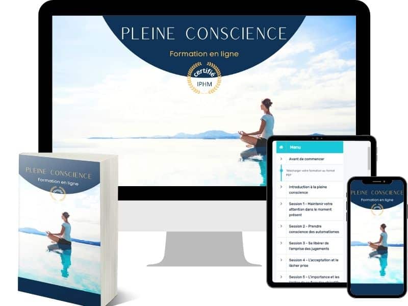 formation à la méditation de pleine conscience en ligne