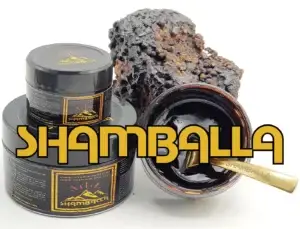 meilleurs shilajit en france