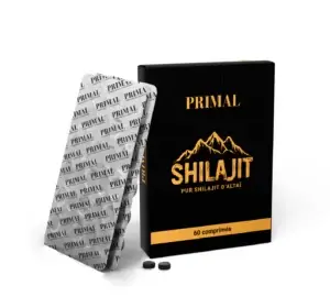 shilajit en comprimés