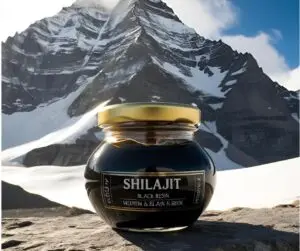 pot de résine de shilajit