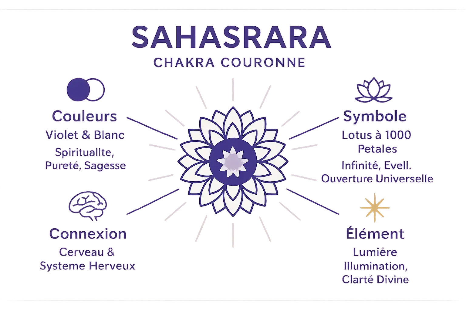 Infographie du chakra couronne